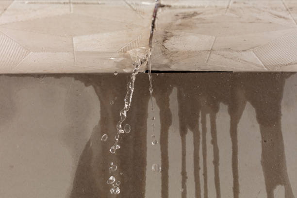 Professional Structural Drying technician working in Detroit Lakes, MN